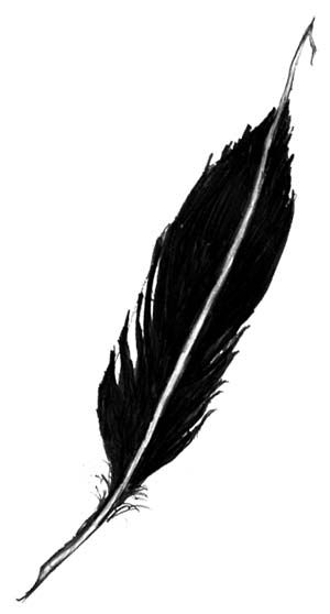 Witches feather