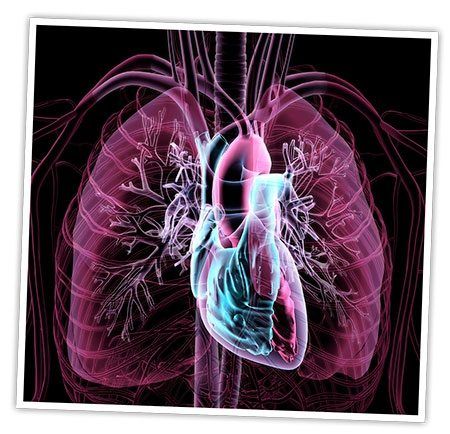 Human body chest x-ray