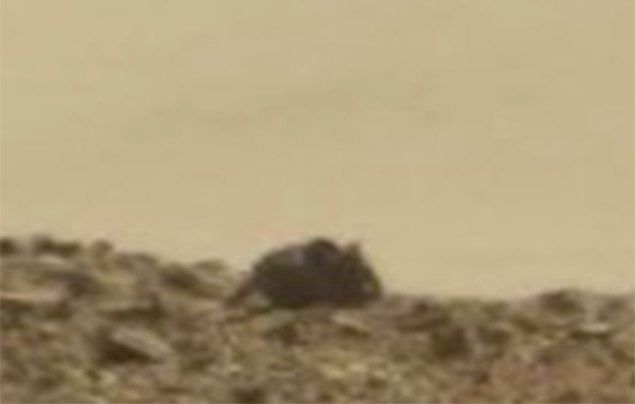 Nasa S Curiosity Rover Spots A Mouse On Mars National Geographic Kids