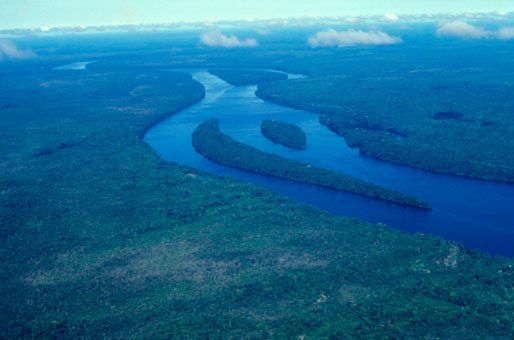 10 Amazing Amazon Facts National Geographic Kids