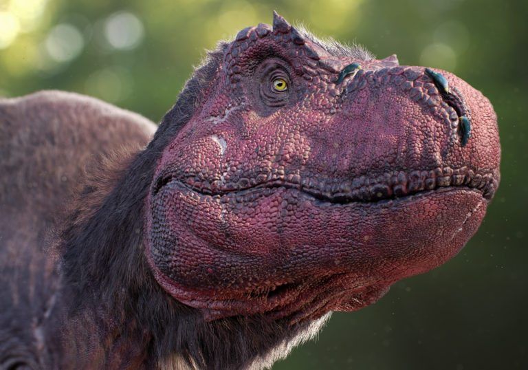 trex National Geographic Kids