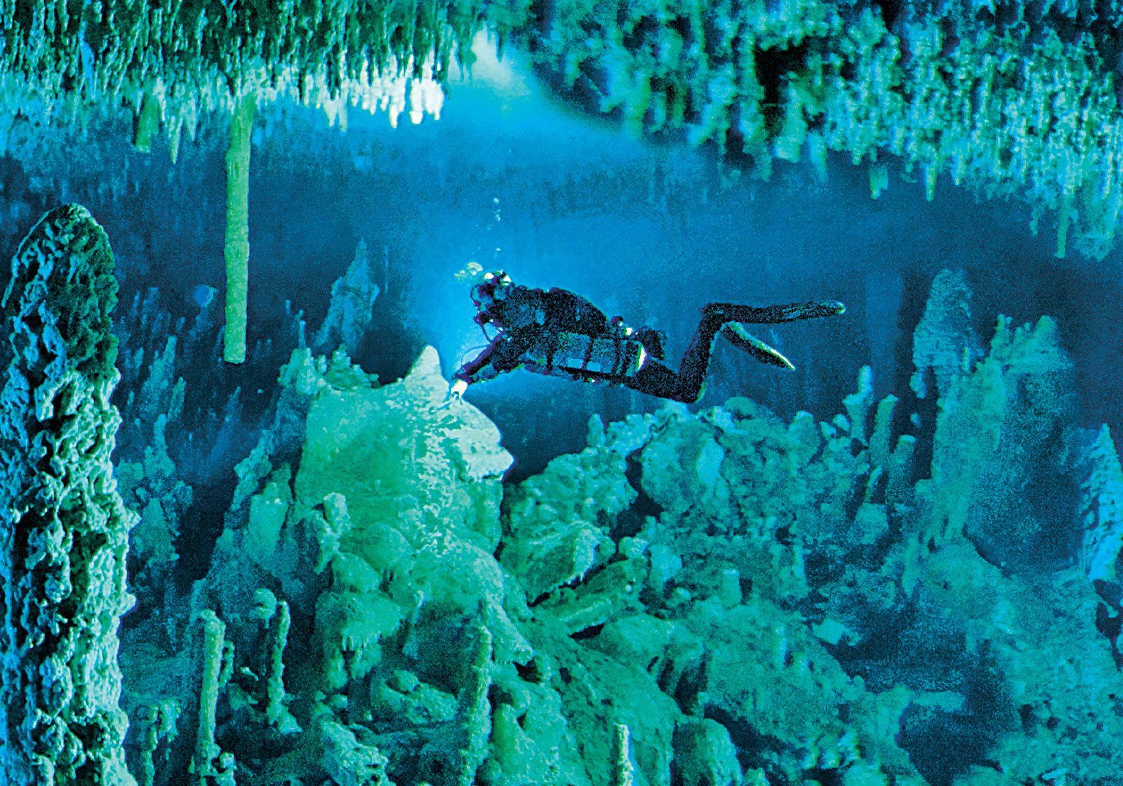 Undersea Caves Primary Resource National Geographic Kids