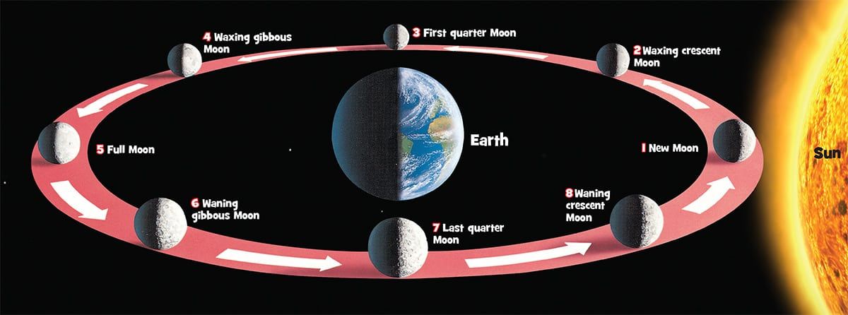 Full Moon Chart 2018