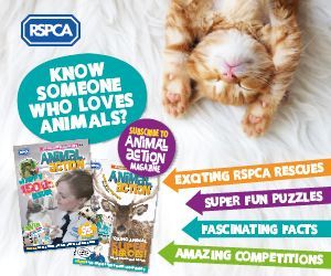 RSPCA SUMMER MPU