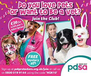 PDSA AUTUMN 2018