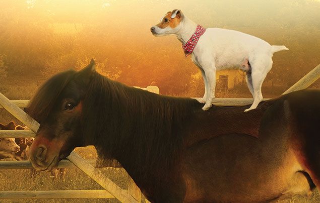 Unlikely Animal Friends National Geographic Kids Unlikely Animal Friends National Geographic Kids