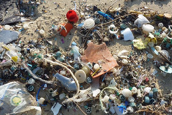 Plastic waste washed up on the beach