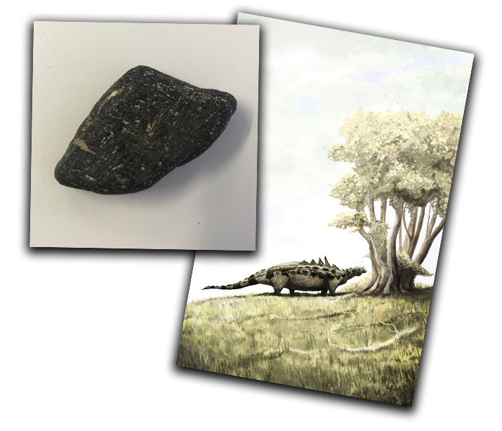 Polacanthus illustration and vertebrae bone