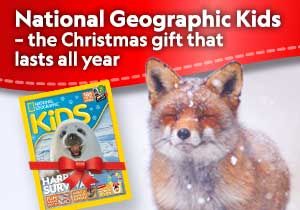 UK & IRE Christmas 2019 in content