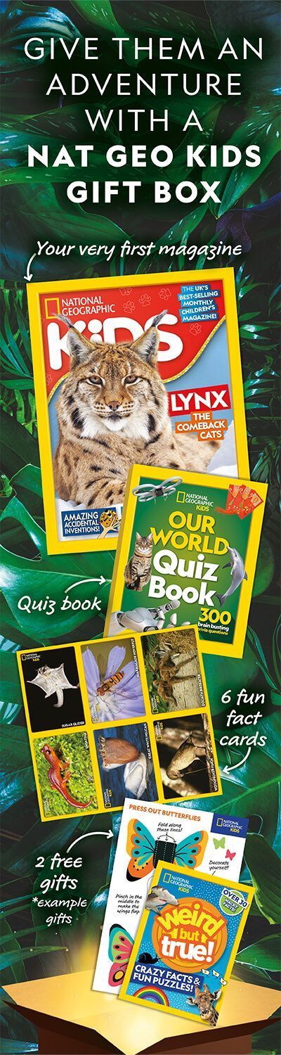 Marketing Subs HPTO 2022 UK – right panel